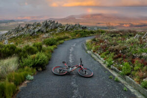 Awkward Beginnings Laura Daily Letter Free Your Inner Guru