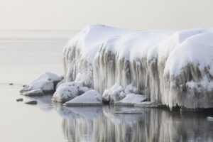 Gritty Side of Growth - Laura Daily Letter Free Your Inner Guru