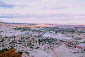 You can learn a lot from the desert