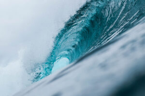 Information Overload Laura Daily Letter Free Your Inner Guru