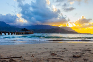 Vacation from Media Laura Daily Letter Free Your Inner Guru ft