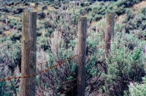 Better Boundaries Better Life - Laura Daily Letter