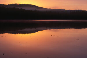 Everyone Loves a New Beginning Laura Daily Letter Free Your Inner Guru