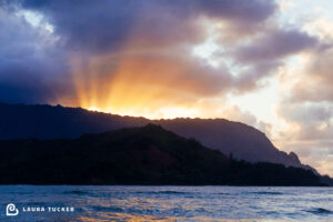 We Are Passengers - Earth Day 2020