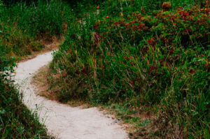 Where Are We Now Laura Tucker Daily Letter Free Your Inner Guru