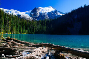 Surmountable Laura Tucker Daily Letter Joffre Lakes
