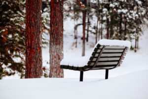 Merry Quiet Christmas