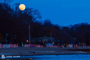 Moonrise Over Balmy Beach Club Toronto