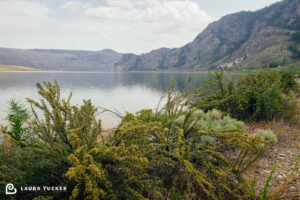 Which Comes First? The Passion or The Skill