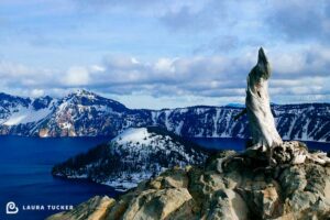 Taking Stock Crater Lake
