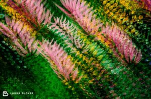 The Company of Plant