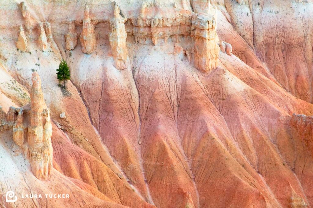 Simple Things Bryce Canyon Laura Tucker FB