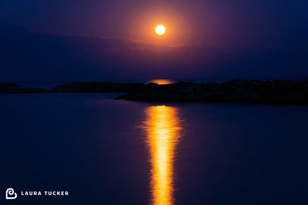 Full moon rising over Lake Ontario in Toronto with dazzling purple hues in the sky and water